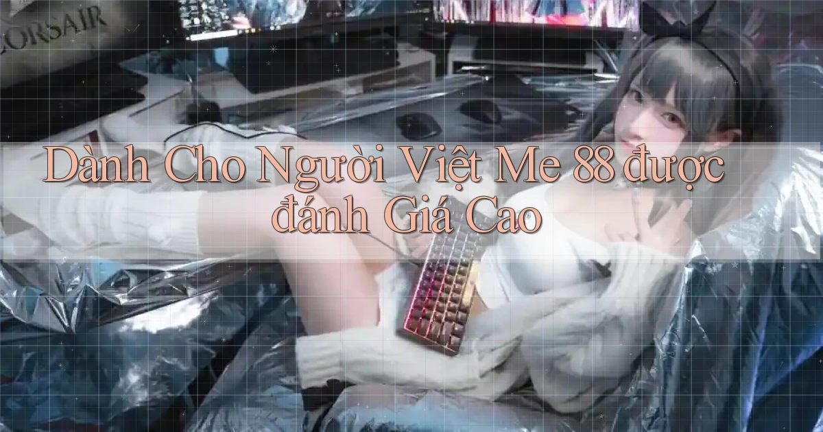 dành cho người việt me 88 được đánh giá cao