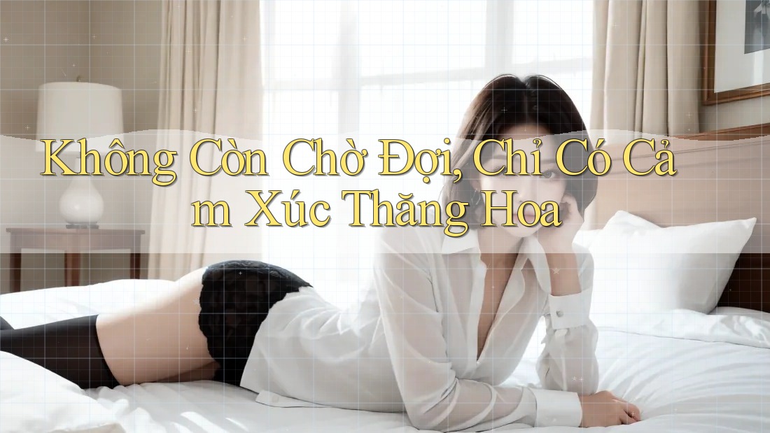 Không Còn Chờ Đợi, Chỉ Có Cảm Xúc Thăng Hoa